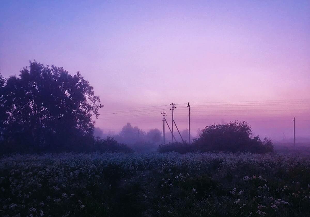 开云平台-神了！圣克莱尔跃身指尖扑出对手近距离头球